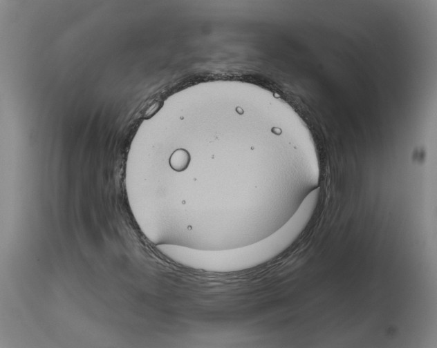 X0000112951300200910051209