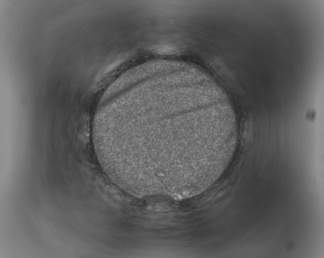 X0000112951301200910051209