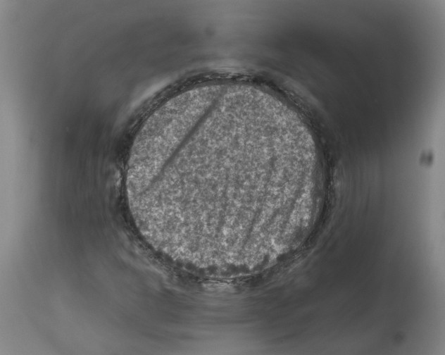 X0000112951302200910051209