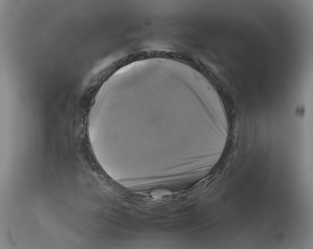 X0000112951303200910051209
