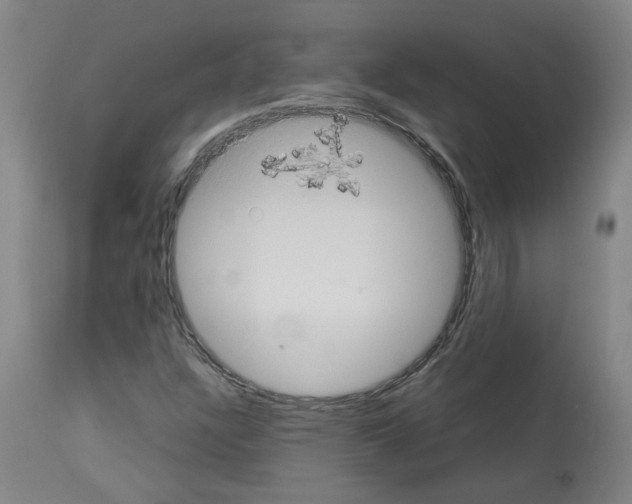 X0000112951304200910051209