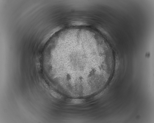 X0000112951305200910051209