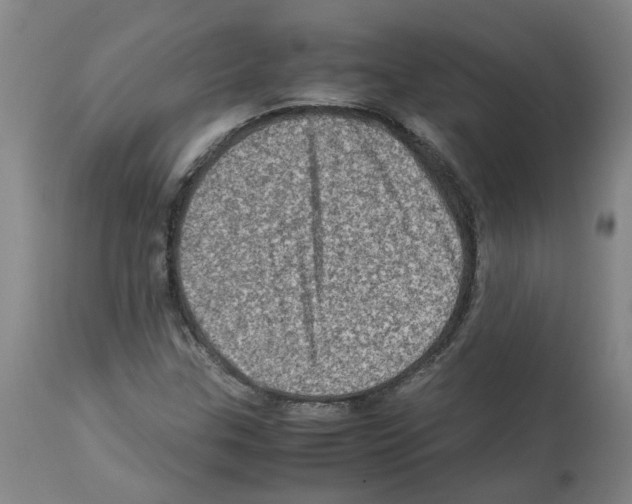 X0000112951307200910051209