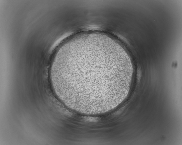 X0000112951309200910051209