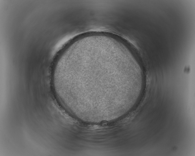 X0000112951311200910051209