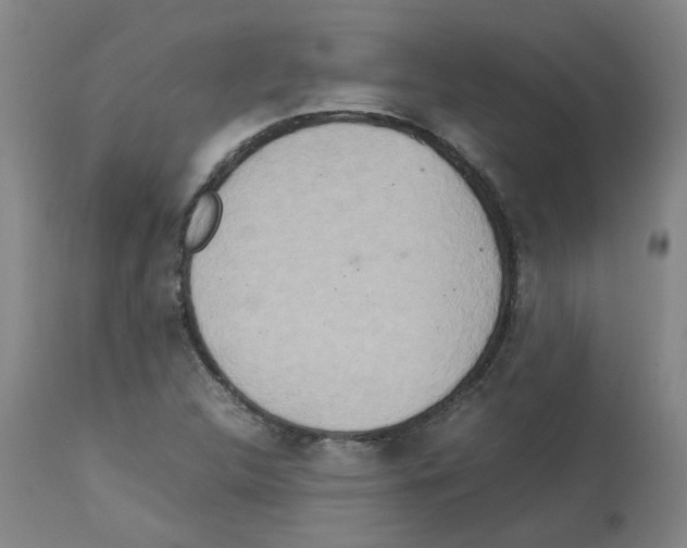 X0000112951312200910051209