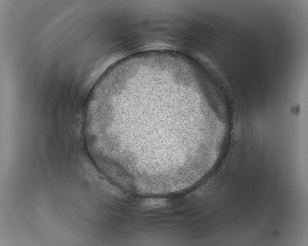 X0000112951313200910051209