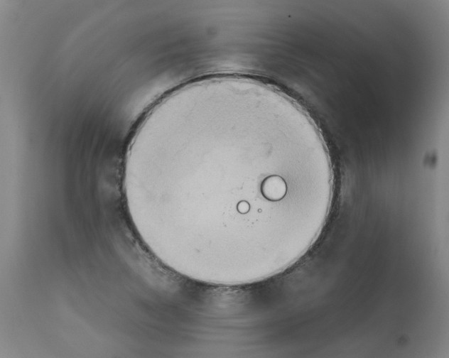 X0000112951314200910051209