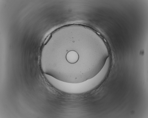 X0000112951316200910051209