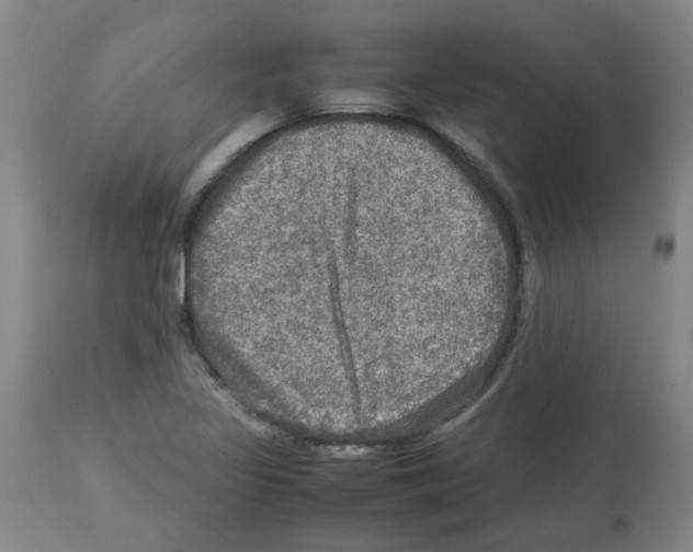 X0000112951317200910051209