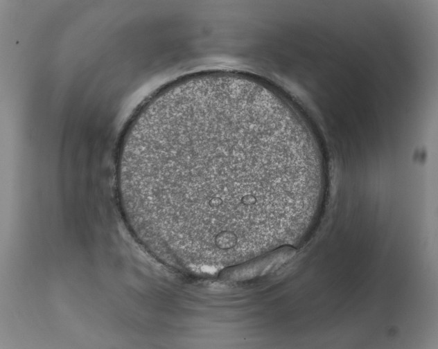 X0000112951318200910051209