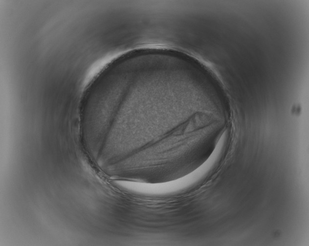 X0000112951319200910051209