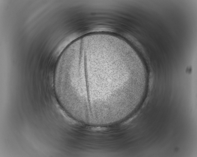 X0000112951321200910051210