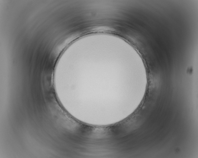X0000112951322200910051210