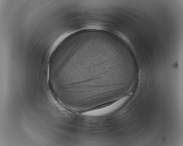 X0000112951323200910051210