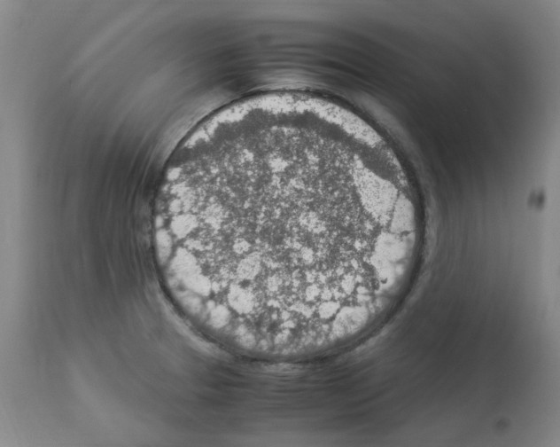 X0000112951329200910051210