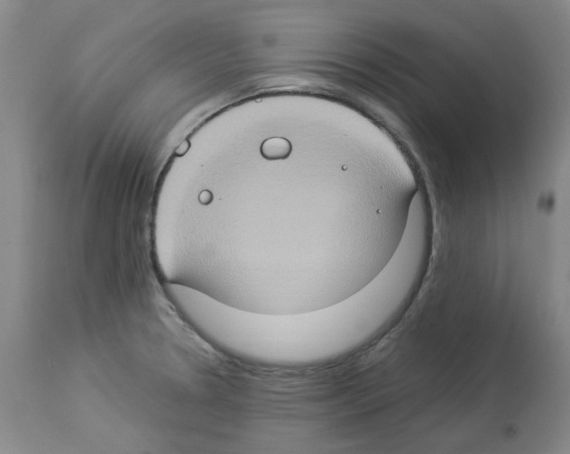 X0000112951330200910051210