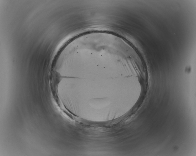 X0000112951334200910051210
