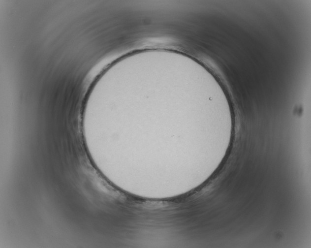X0000112951336200910051210