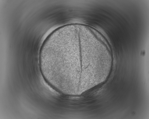 X0000112951339200910051210