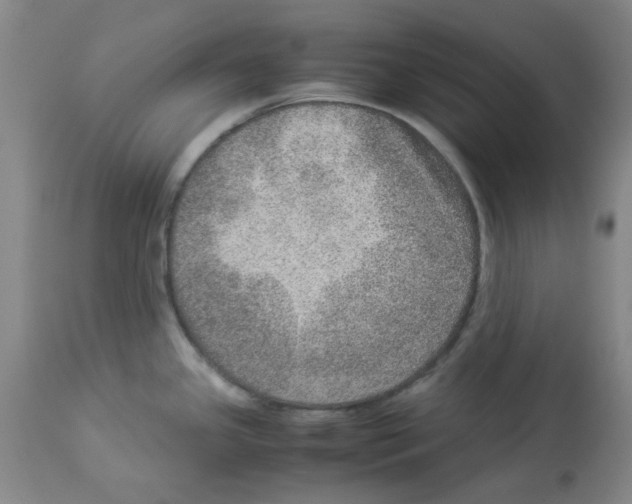 X0000112951341200910051210
