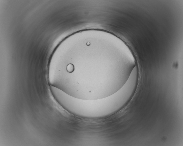 X0000112951342200910051210