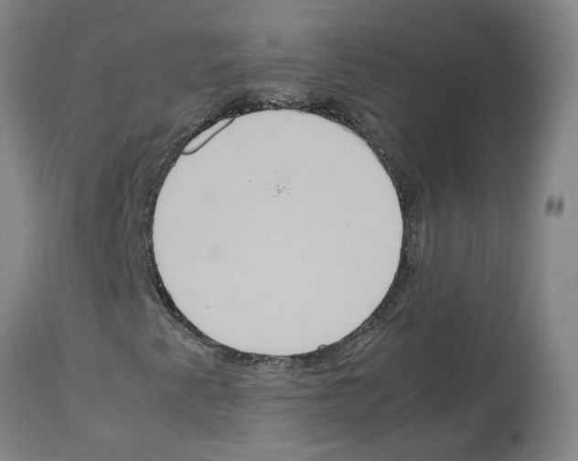 X0000112951345200910051209