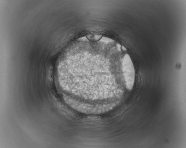 X0000112951346200910051209