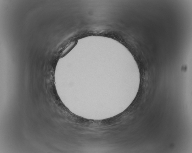 X0000112951349200910051209