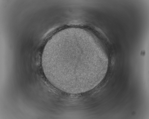 X0000112951350200910051209