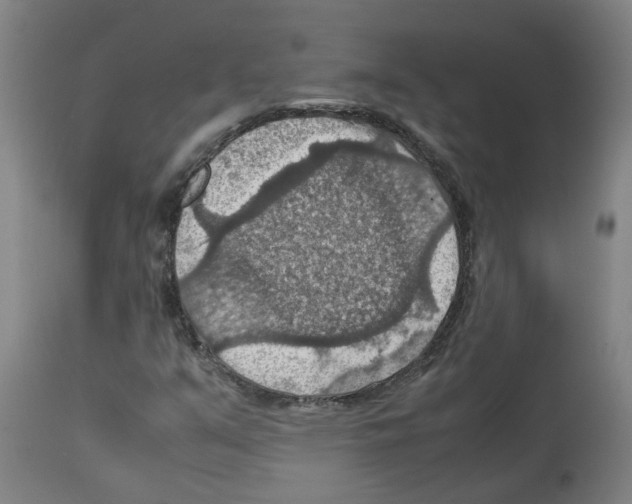 X0000112951351200910051209
