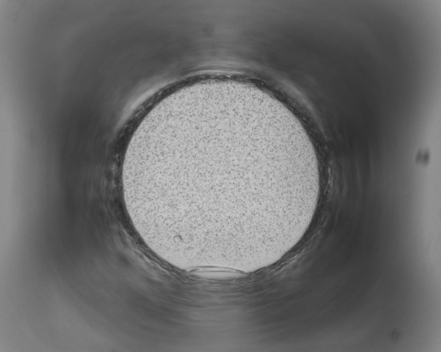 X0000112951352200910051209