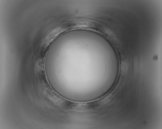 X0000112951353200910051209