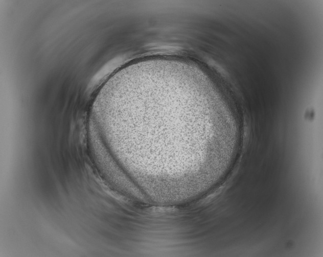 X0000112951354200910051209