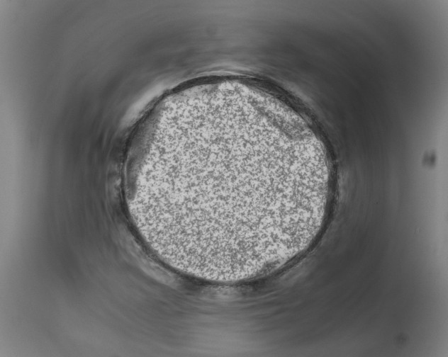 X0000112951355200910051209