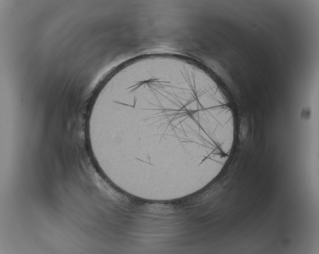 X0000112951356200910051209