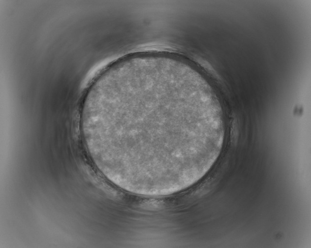 X0000112951358200910051209