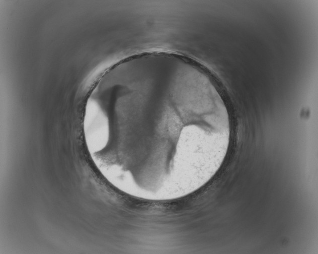 X0000112951359200910051209
