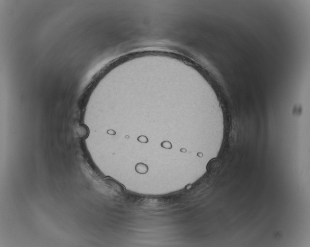 X0000112951360200910051209