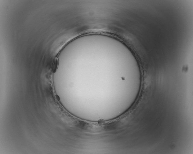 X0000112951361200910051209