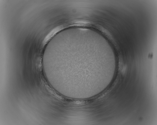 X0000112951362200910051209