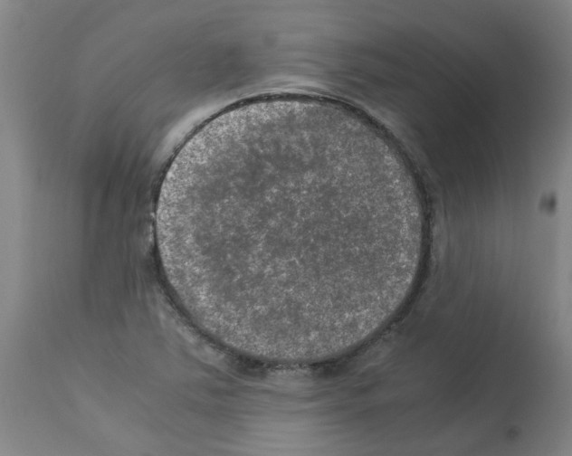 X0000112951363200910051209