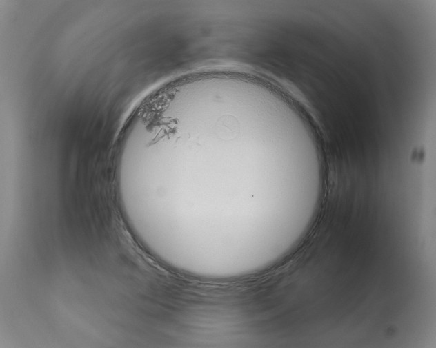 X0000112951364200910051209