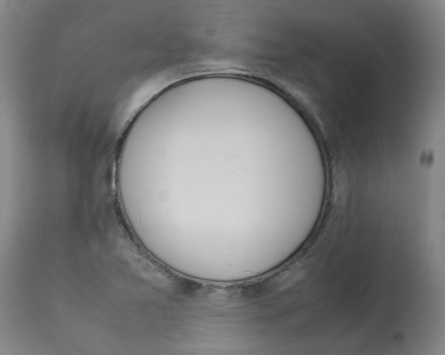 X0000112951365200910051209