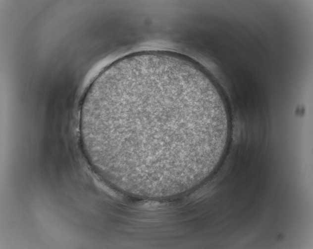 X0000112951366200910051209