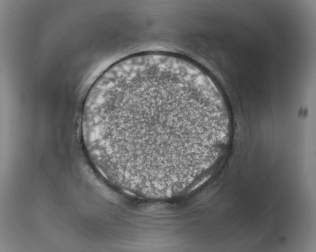 X0000112951367200910051209