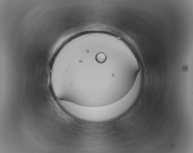 X0000112951368200910051209