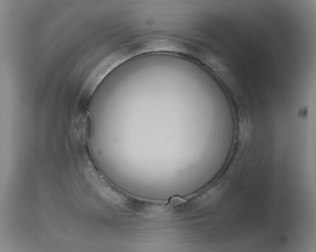 X0000112951369200910051209