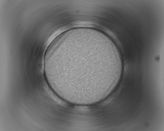 X0000112951370200910051209