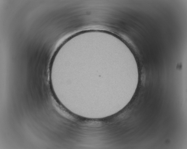 X0000112951372200910051209